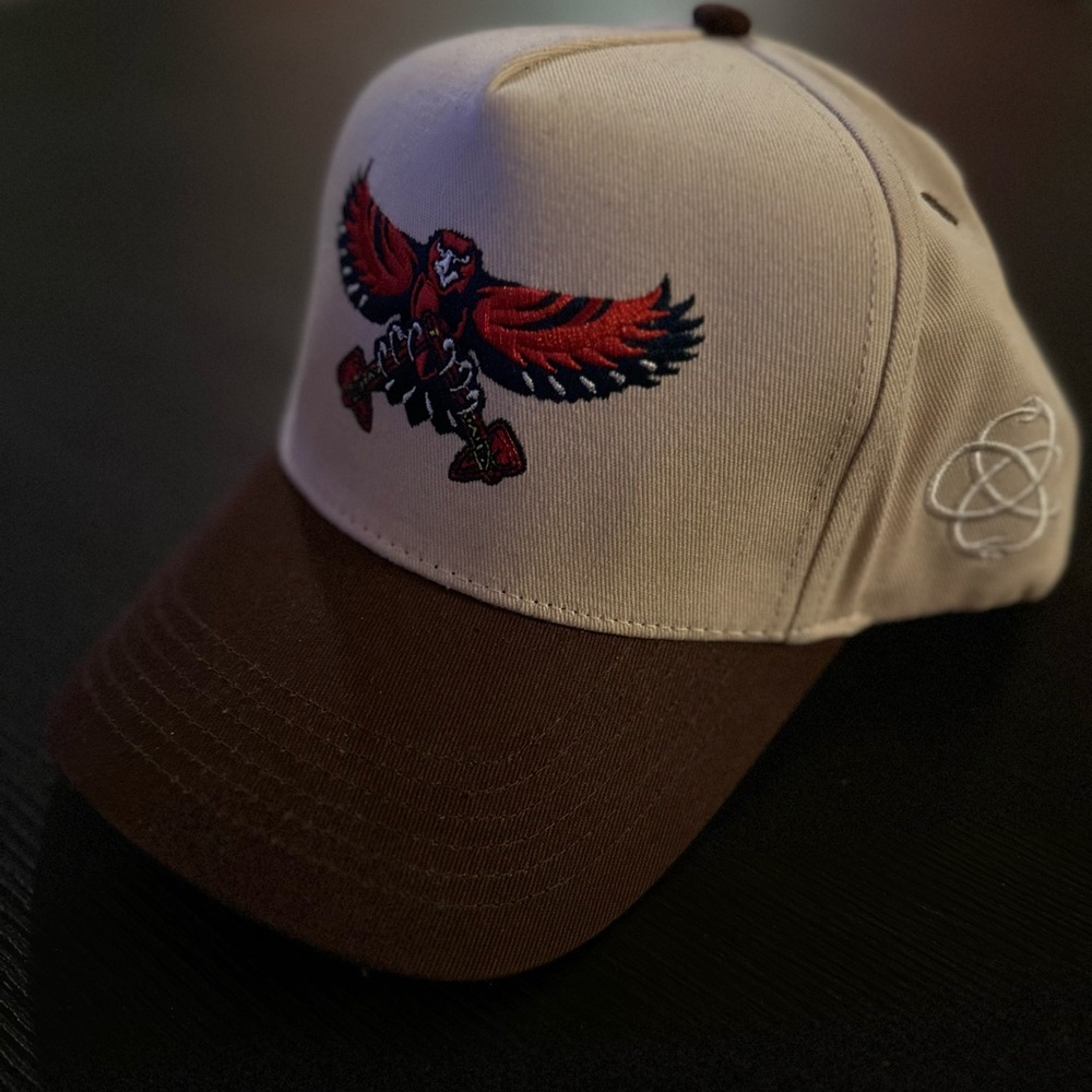 Atlanta Hawks / Braves SnapBack hat